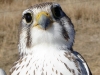 earthspan__0013_dsc00404-jpg