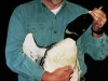 loon99-1-large
